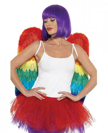 Rainbow Large Feather Wings